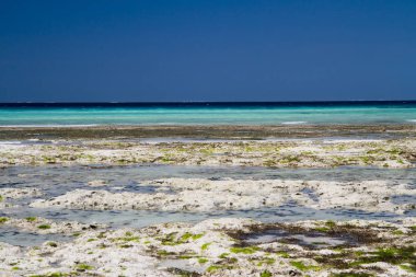 güzel bir plaj ve deniz zanzibar Hint Okyanusu