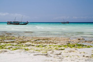 güzel bir plaj ve deniz zanzibar Hint Okyanusu
