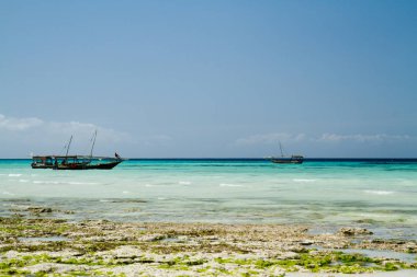 güzel bir plaj ve deniz zanzibar Hint Okyanusu