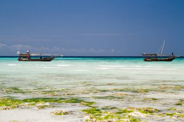 güzel bir plaj ve deniz zanzibar Hint Okyanusu
