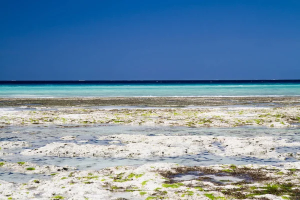 Den Vackra Stranden Och Havet Zanzibar Indiska Oceanen — Stockfoto