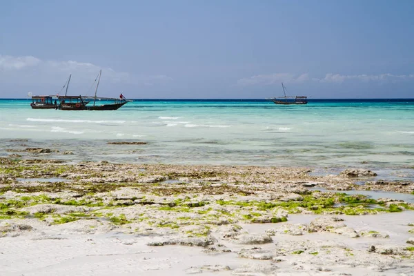 Beautiful Beach Sea Zanzibar Indian Ocean — Stock Photo, Image