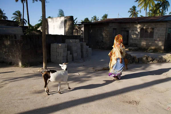 Straat Beelden Van Zanzibar Mensen Plaats — Stockfoto