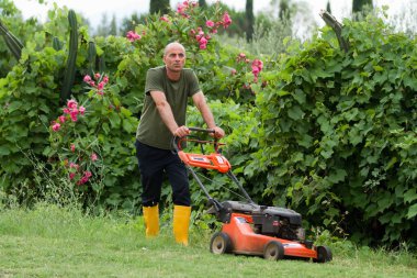 Bahçıvan iş çim kesme