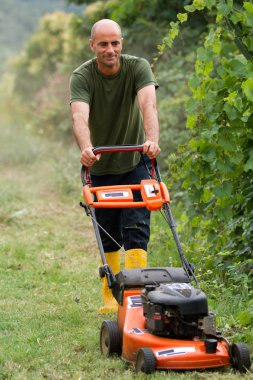 bahçıvan bir bahçe çim kesme