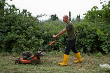 bahçıvan bir bahçe çim kesme