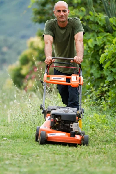 Giardiniere Lavoro Tagliare Erba — Foto Stock