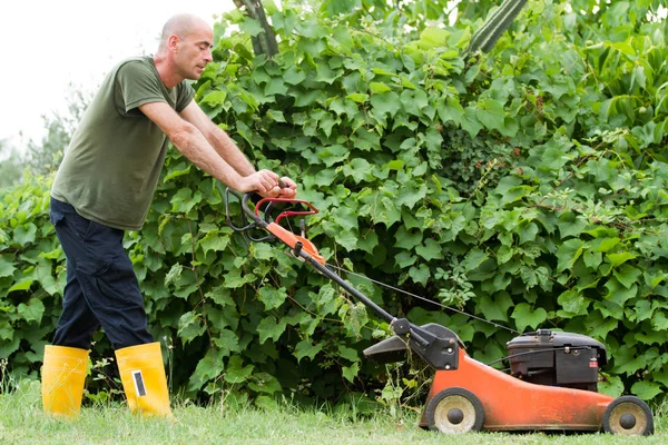 Gärtner Bei Der Arbeit Beim Rasenmähen — Stockfoto