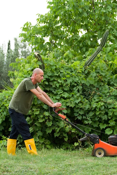 Gärtner Bei Der Arbeit Beim Rasenmähen — Stockfoto