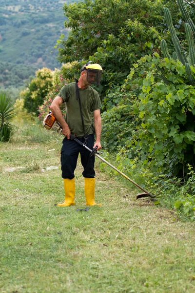 Jardinero Cortando Hierba Jardín —  Fotos de Stock