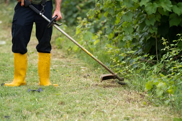 Jardinier Couper Herbe Dans Jardin — Photo