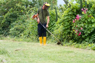 Bahçıvan avlusunda dikkat çekici