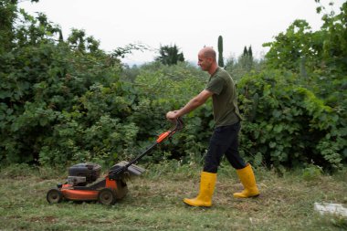 Bahçıvan avlusunda dikkat çekici