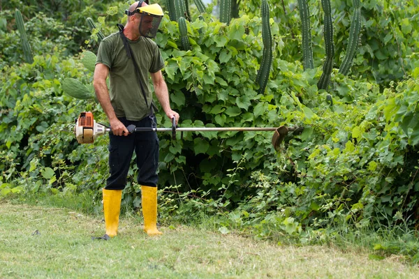 Gräsklippare Som Klipper Gräset Trädgård — Stockfoto