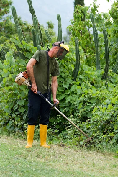 Jardineiro Cuidando Pátio — Fotografia de Stock