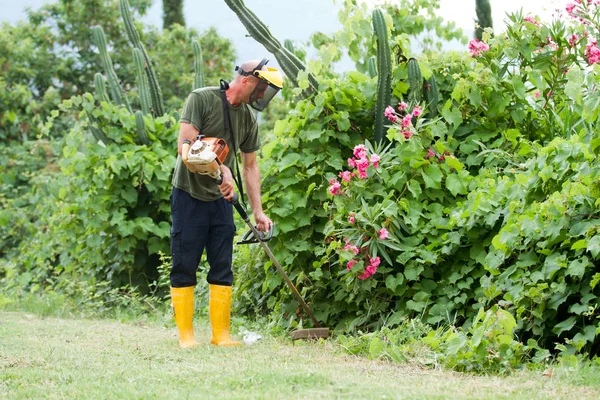 Jardinero Cuidando Del Patio — Foto de Stock