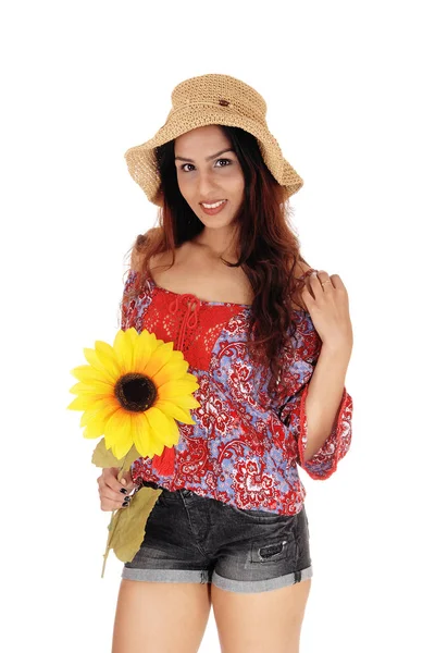 Bella donna con un girasole — Foto Stock