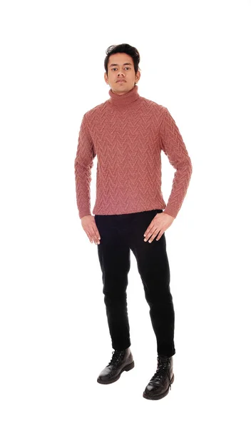 Pretty young man standing in a sweater in the studio — Stock Photo, Image