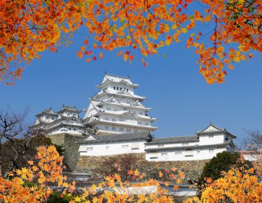 Şafakta Himeji Kalesi Himeji, Japonya akçaağaç sezon