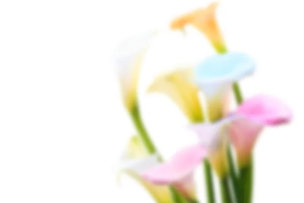 Wazig bloemen met mooie achtergrondkleur — Stockfoto