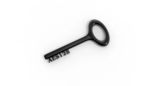 3d rendering of key with encrypted method with white background — Stock Photo, Image