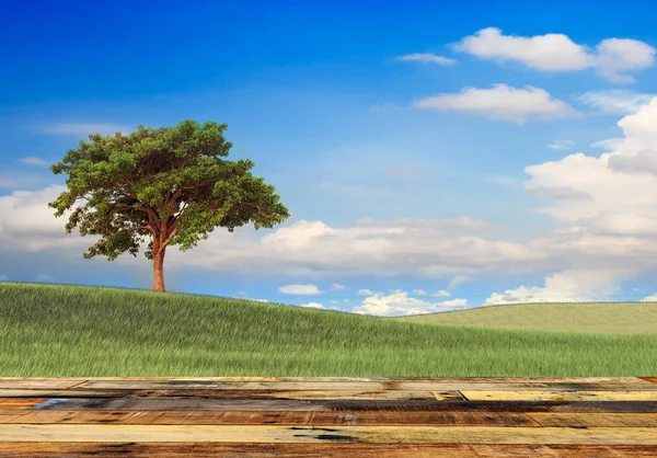Bord av trä med fin vacker bakgrund — Stockfoto