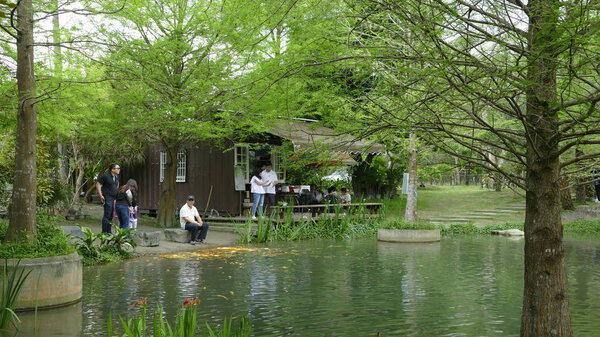 On the Taiwan Line 9 Hualien County Feiyu Pine Park