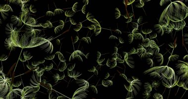 3D render karahindiba üfleme silueti. Uçan darbe dandel