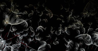 3D render karahindiba üfleme silueti. Uçan darbe dandel