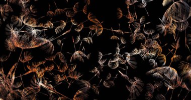 3D render karahindiba üfleme silueti. Uçan darbe dandel