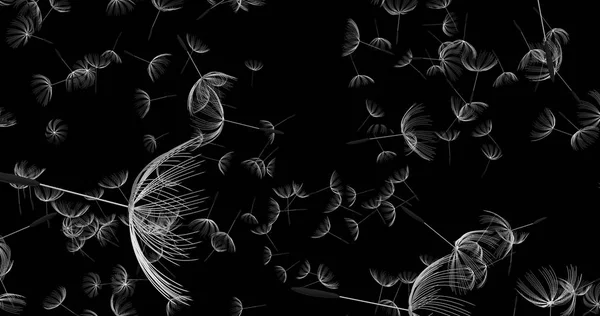 3D render karahindiba üfleme silueti. Uçan darbe dandel — Stok fotoğraf
