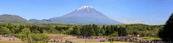 Japão Shibazakura Festival com o campo de musgo rosa de Sakura — Fotografia de Stock