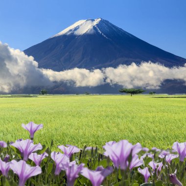 güzel manzara güzel doğa renkle görüntüleme