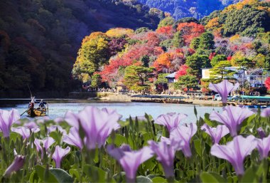 imageing of fall seasnon in Arashiyama, Japan clipart