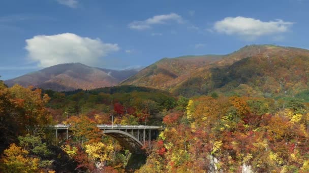 Cores de outono de Naruko Gorge no Japão e bonito fundo azul e nuvem — Vídeo de Stock