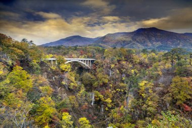 Japonya ve güzel mavi ve bulut b değil Gorge sonbahar renkleri