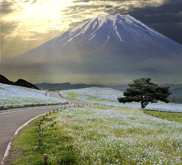 Imageing of beautiful landscape of the sky and the ground view — Stock Photo, Image