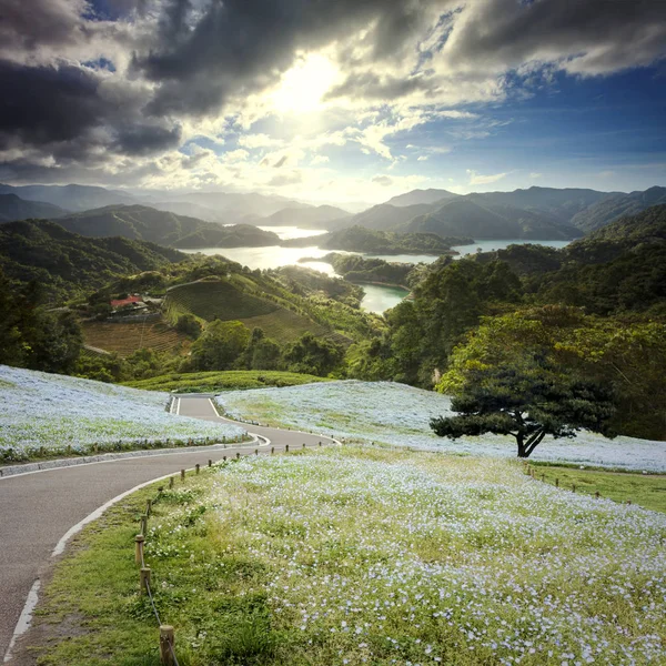 Immaginando il bellissimo paesaggio del cielo e la vista del suolo — Foto Stock