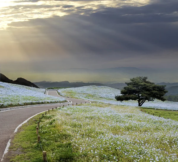 Imageing av vackra landskapet i himlen och vyn marken — Stockfoto