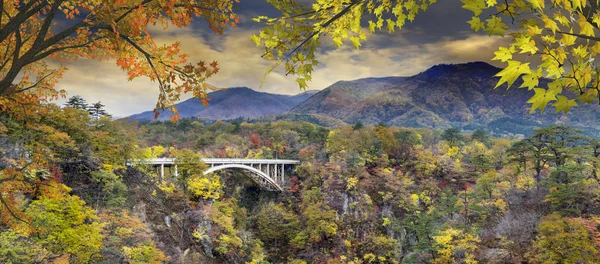 Japonya ve güzel mavi ve bulut b değil Gorge sonbahar renkleri