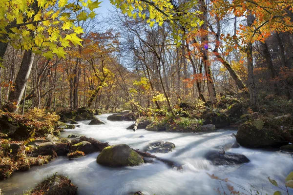 Oirase Gorge vackra floden druing höstsäsongen, Japan — Stockfoto