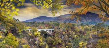 Japonya ve güzel mavi ve bulut b değil Gorge sonbahar renkleri