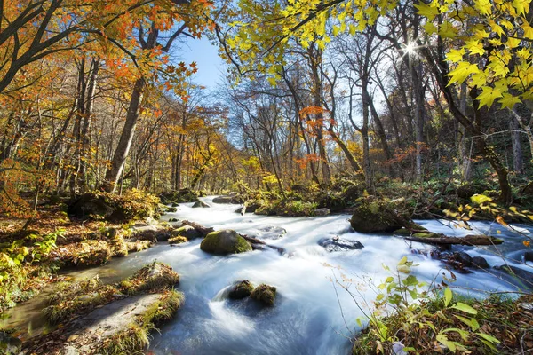 Oirase Gorge prachtige rivier cijfers het herfst seizoen, Japan — Stockfoto