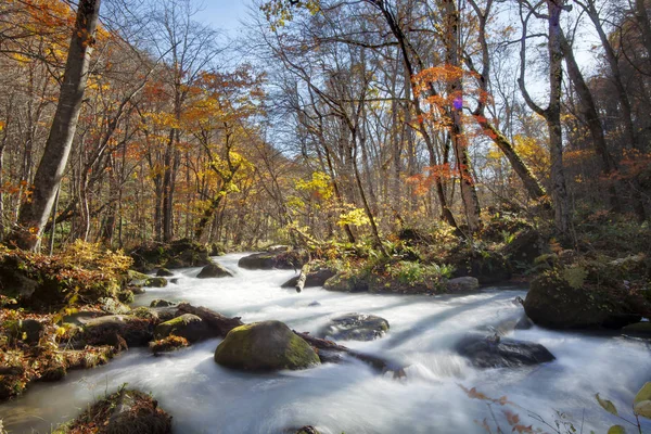 Oirase-szurdok gyönyörű folyó druing az őszi szezonra, Japán — Stock Fotó