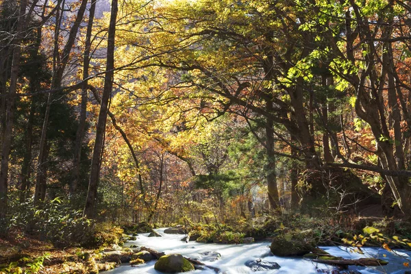 Oirase Gorge beautiful river druing the autumn season, Japan — Stock Photo, Image