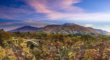 Japonya ve güzel mavi ve bulut b değil Gorge sonbahar renkleri