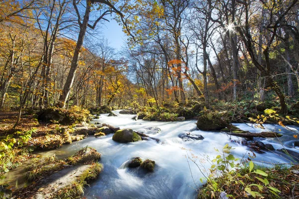 Oirase Gorge hermoso río druing la temporada de otoño, Japón — Foto de Stock
