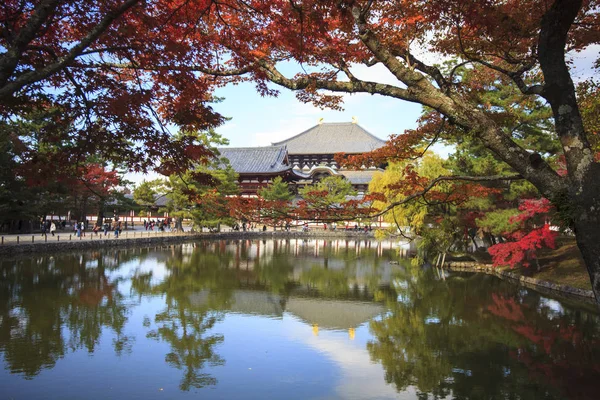 Nara Parkı, Japonya güzel akçaağaç rengi ile sonbahar sezon