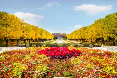 Yolun Meiji Jingu Gaien güzel Ginkgo al olan yakın