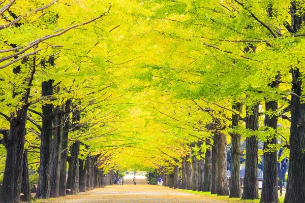 The street nearby Meiji Jingu Gaien that has beautiful Ginkgo al — Stock Photo, Image